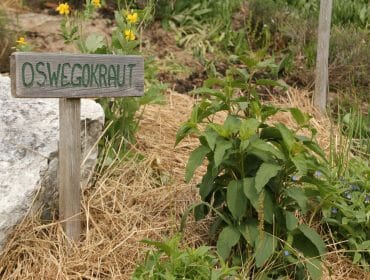a sign sitting on the grass