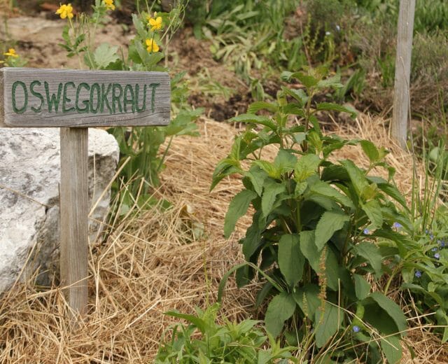 a sign sitting on the grass