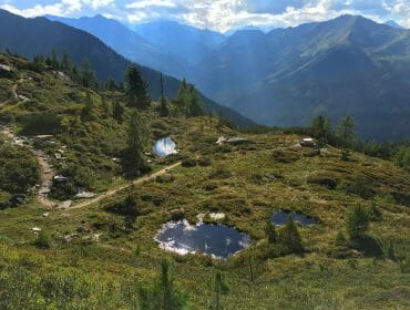Gastein_Graukogel_wanderung A lush green mountain landscape with small ponds, trees, and distant sunlit peaks under a blue sky.