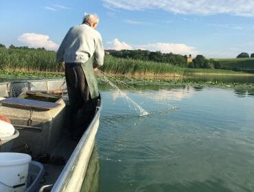 An elderly person stands on a boat, casting a net into calm water on a sunny day.