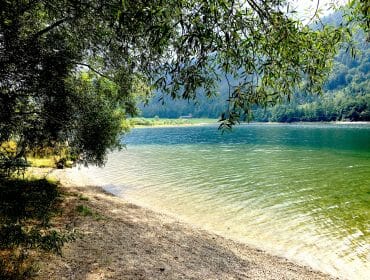 A calm lake with clear water, a pebbled shore, and overhanging green branches on a sunny day.