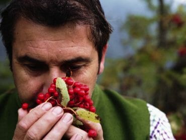 kulinarik-vogelbeere-bauer a close up of a person holding berries