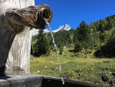 Meeräuglquelle00003 Clear water flows from a wooden spout in a forested mountain landscape under a bright blue sky.