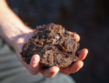 A hand holding a mound of dark, moist earth outdoors, with sunlight shining on the earth and fingers.