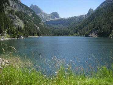 Mountain lake Diessbachstausee surrounded by forests and grass, with peaks and a blue sky in the background.