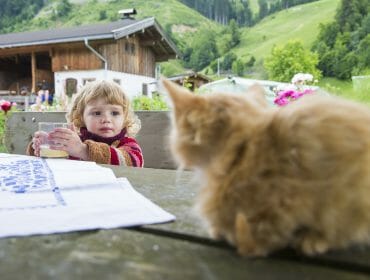 Organic Paradise Herzoghof