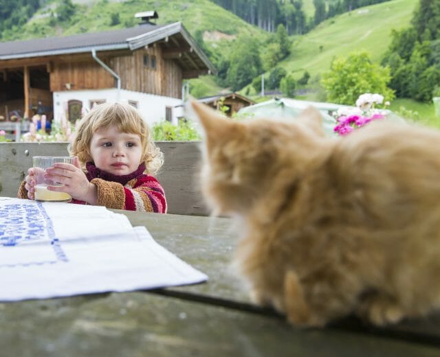 Organic Paradise Herzoghof