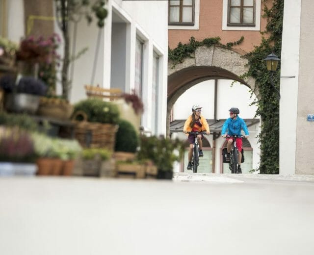 Tauern Cycle Trail