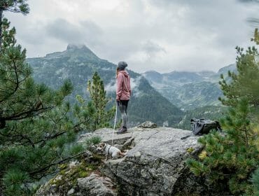 A person and dog stand on a rocky outcrop in a national park, overlooking misty mountains and pine trees.