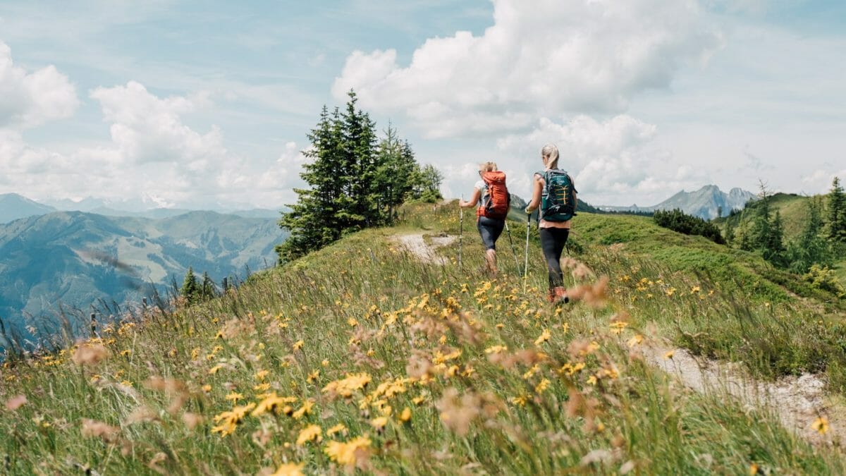 Welcome to the Salzburg Alpine Pastures Trail » SalzburgerLand.com