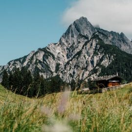 a field with a mountain in the background