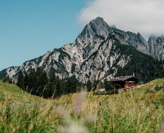 wandernohnegepaeck-11-1170×658 a field with a mountain in the background