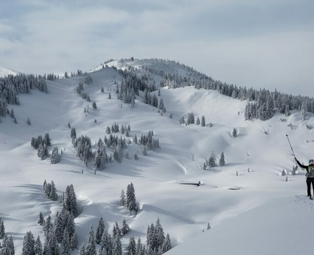 A skier raises poles in a snowy mountain landscape with snow-covered trees under a cloudy sky.