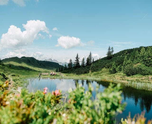 Großarl Almenweg Großarl Almenweg
