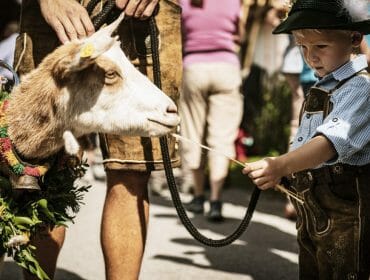 A young boy in traditional attire feeds a decorated goat with flowers during an outdoor event.