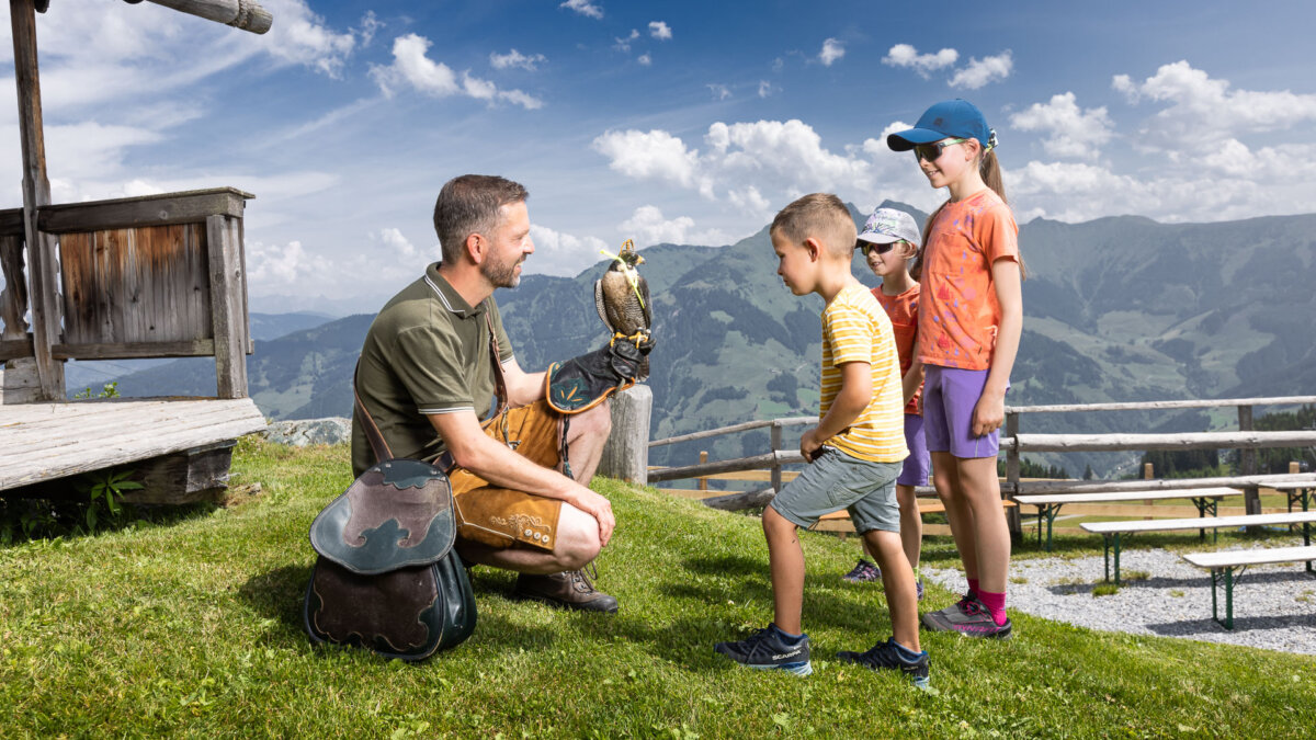 Rauriser Hochalmbahnen » SalzburgerLand.com