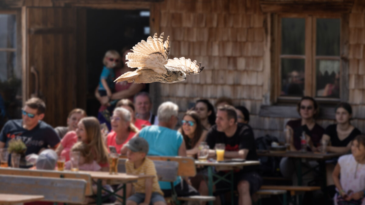 Rauriser Hochalmbahnen » SalzburgerLand.com