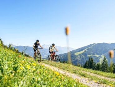 Two people cycling along a scenic Flachau mountain trail, surrounded by wildflowers and sunny hills.