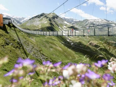 People stand on a long suspension bridge over a green mountain valley with purple flowers in the foreground.
