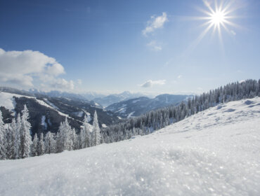 Bright sun over snowy mountains and frosted trees under a clear blue sky.