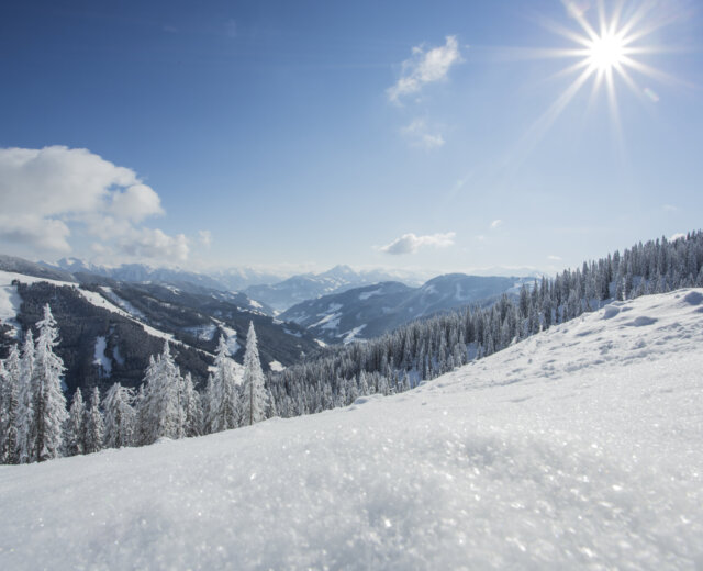 Bright sun over snowy mountains and frosted trees under a clear blue sky.