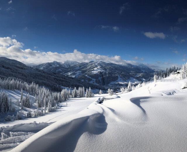 Snow-covered mountains and trees under a blue sky, with Naturhotel Edelweiss Wagrain’s cabin on the right-hand side.
