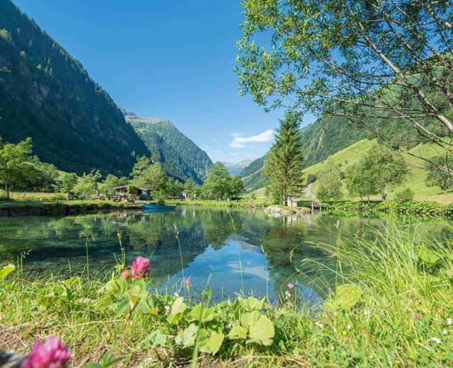Clear blue lake surrounded by green hills, trees, wildflowers, and mountains under a sunny blue sky.