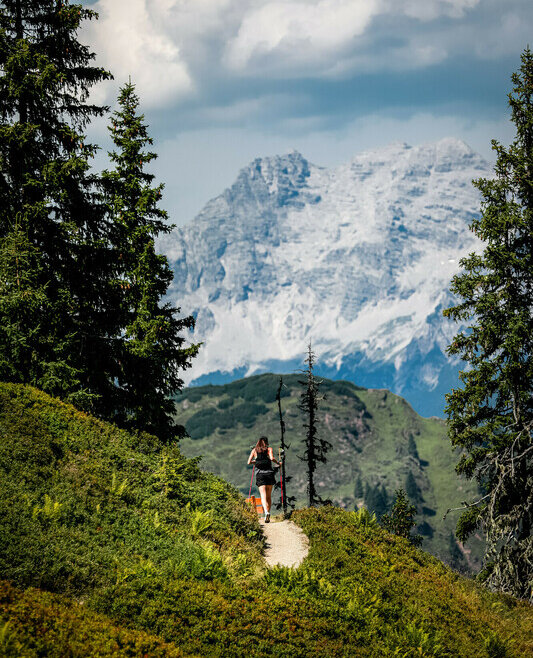 © SalzburgerLand Tourismus A hiker walks on a mountain trail with pine trees and snowy peaks in the background under a cloudy sky. (Enlarged view)