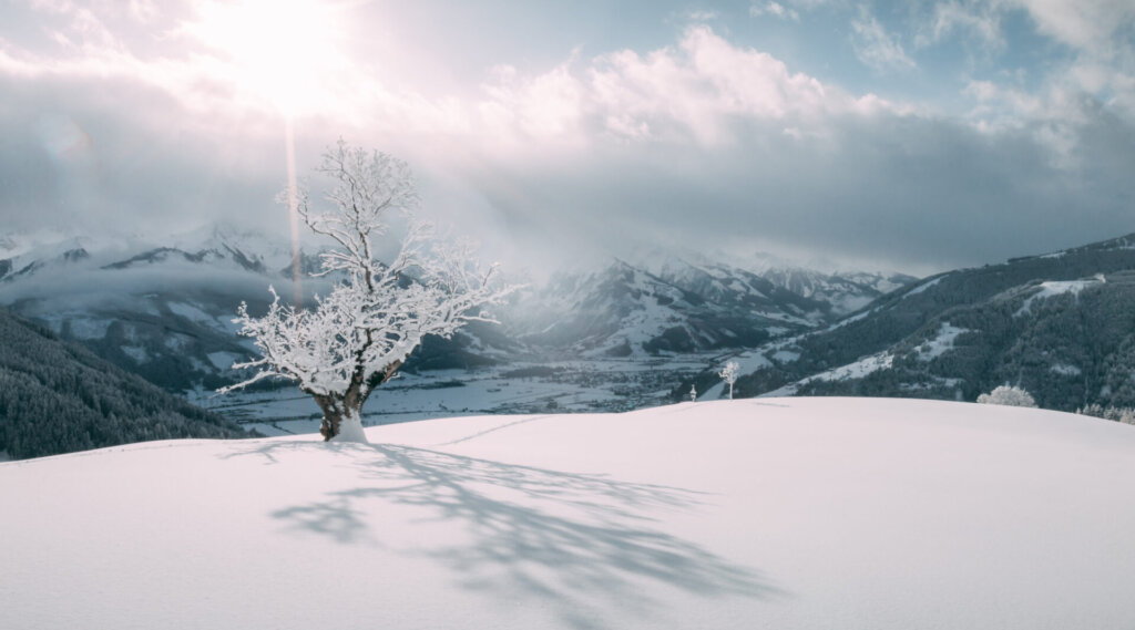 Winter Panorama in Zell am See