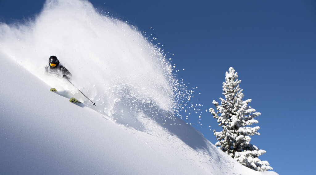 Skifahrer beim Carven durch frischen Pulverschnee auf einer verschneiten Piste, mit einer Kiefer und blauem Himmel.