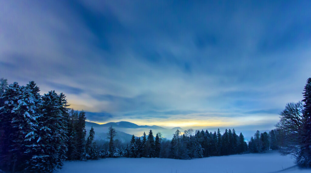 Verschneite Waldlandschaft in der Morgendämmerung mit Bergen im Hintergrund unter einem bewölkten blauen Himmel.