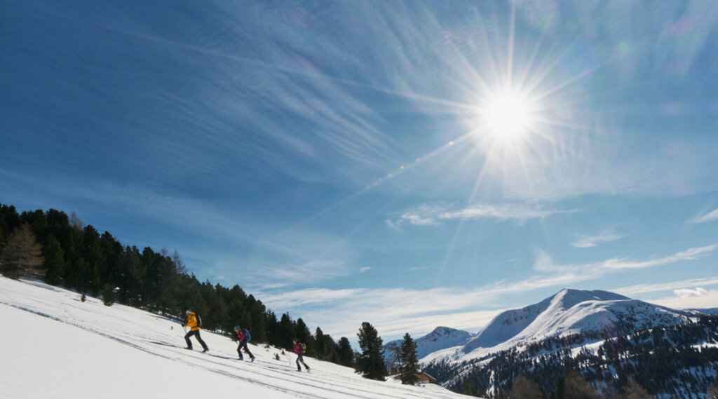 Vier Personen wandern bei strahlendem Sonnenschein und blauem Himmel, umgeben von Bäumen und Gipfeln, einen verschneiten Berghang hinauf.