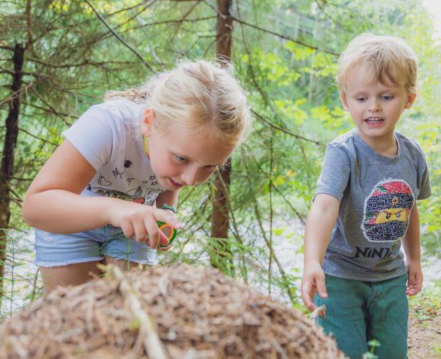 naturpark-wald walddetektive,Érdekes kalandtúrán vehetnek részt a gyerekek a Weissbach patak mentén