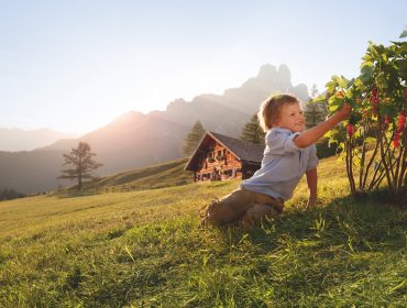 Mosolygó gyerek bogyókat szedeget a fűben egy rusztikus faház közelében naplementekor-nyaralás salzburgi hüttében.