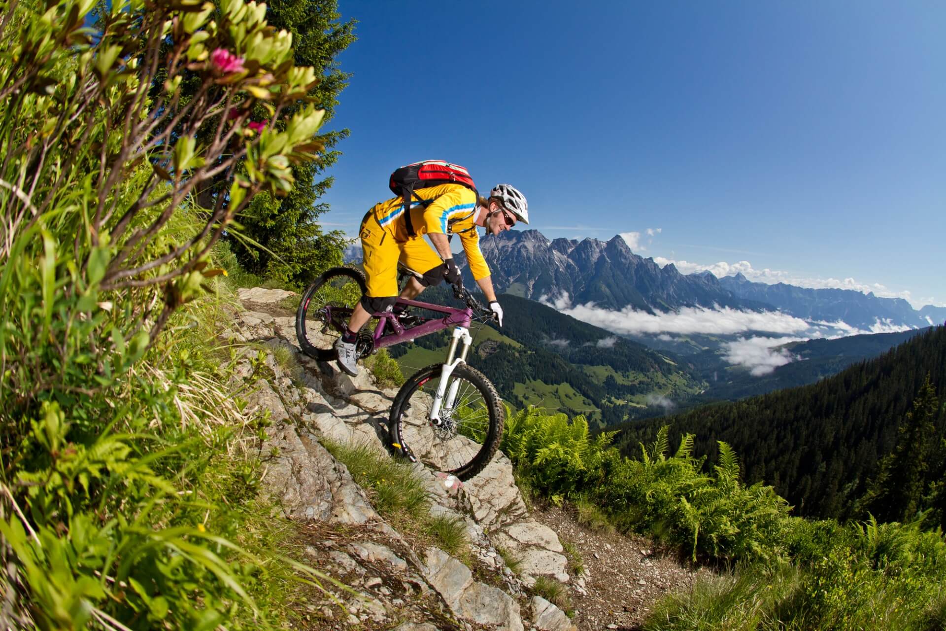 Bike tour. Спорт горы лето. Др велосипед горы. Mountain biking, Sikkim.