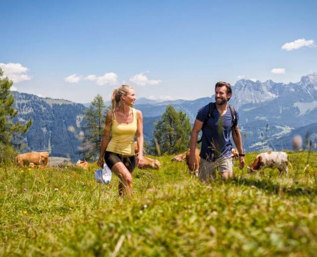 A rendkívüli találkozás az alpesi természettel minden érzékszervet megmozgató élmény