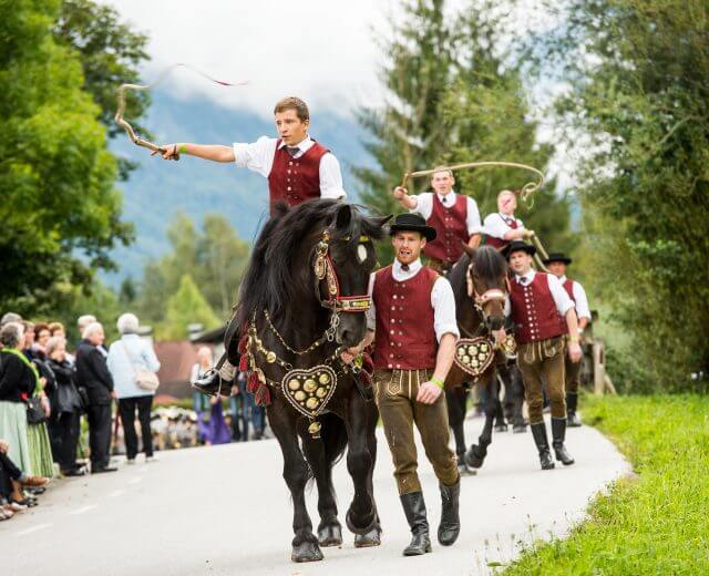 Schnalzergruppe am Pferd