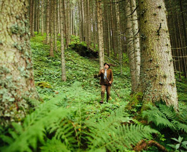 Wald