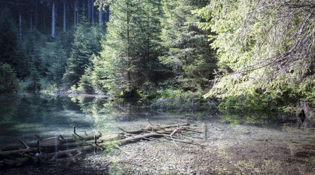 Az "erdő titkaként" ismert erdei víztest rejtélyes módon eltűnik, majd váratlanul újra felbukkan