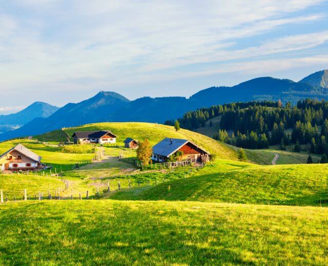 Hajnalban az alpesi legelőn Hajnalban az alpesi legelőn