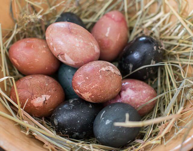 Ostereier-mit-Farben-der-Natur © Anke Eder A húsvéti fészek sötétvörösre és feketére festett tojásokkal szalmán pihen egy fatálban.