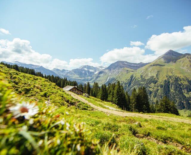 Mitterasten legelő, Mitterastenalm