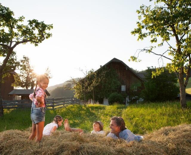 Familie im Heu - Család a szénában