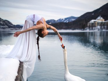 Téli táj hattyúval a Fuschlsee_Naturbadestrand-nál