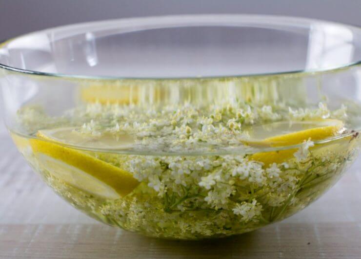 Holunderbluten-und-Zitrone-mit-Wasser,Vízbe áztatott bodzavirág citrommal