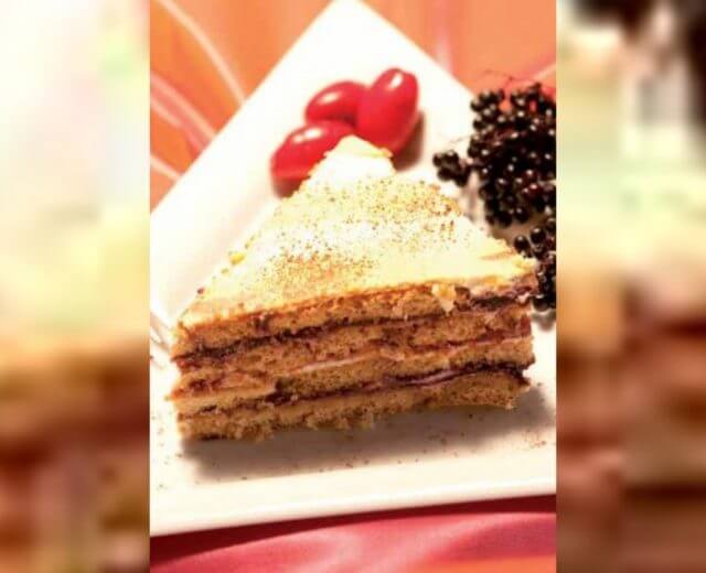 Bild2 Som-bodza tiramisu, Dirndl-Holunder-Tiramisu