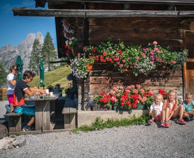 Hofalmgebiet in Filzmoos in der Salzburger Sportwelt