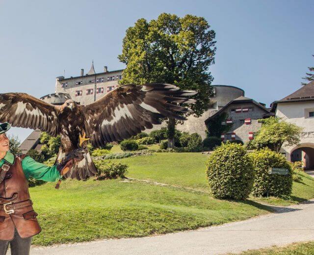 Egy sólymász egy nagy sast tart egy történelmi vár előtt, a Salzburgi Sportvilág egyik csúcs látványosságok egyike.