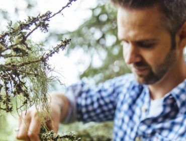 A legjobb mesterszakácsok az erdő alapanyagaiból inspirálódnak.