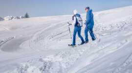 Hótalpas túrák a Dachstein West sírégióban